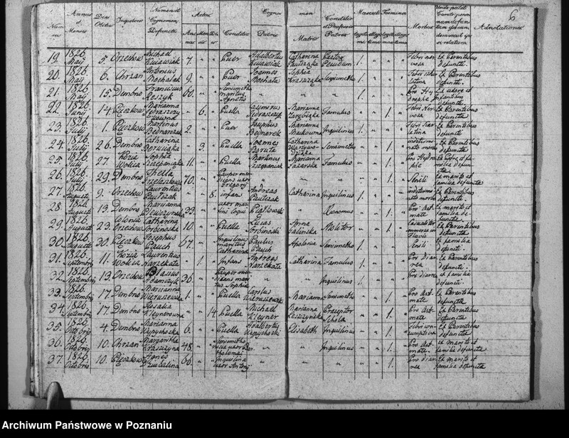 Obraz 12 z jednostki "Duplikat baptisatorum, copulatorum u. mortuorum"