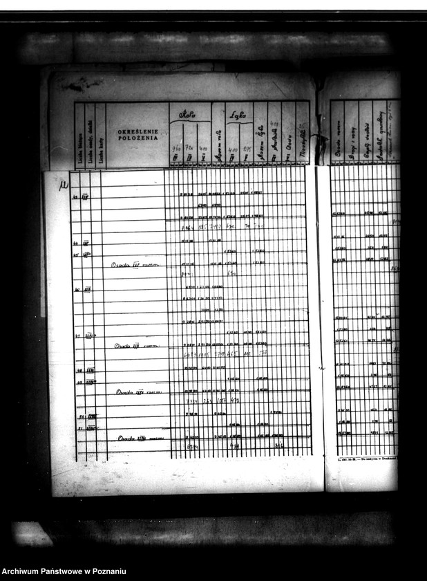 Obraz 16 z jednostki "Tymczasowy rejestr pomiarowo-parcelacyjny majątku Duszniki powiatu szamotulskiego"