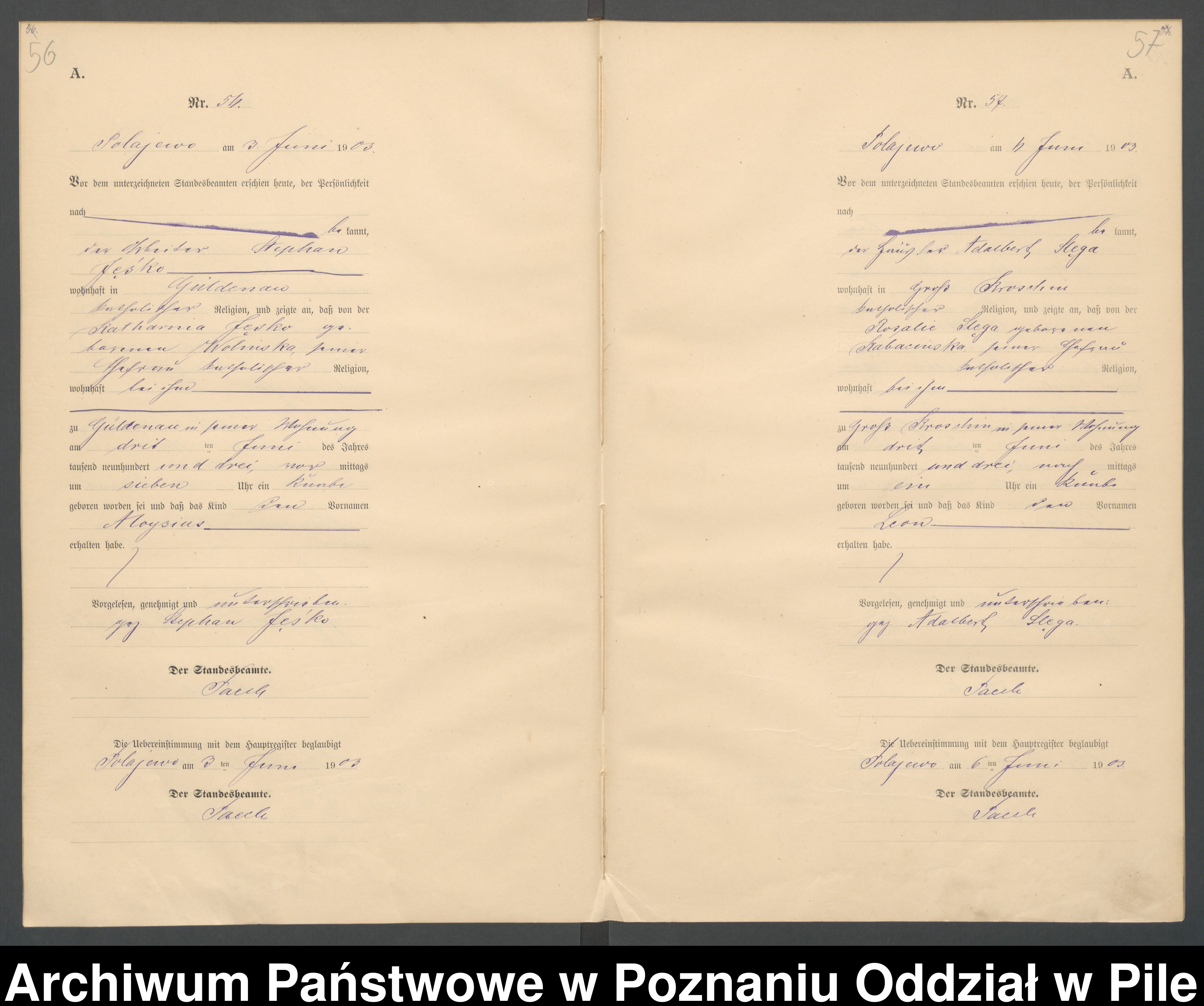 Skan z jednostki: Księga urodzeń