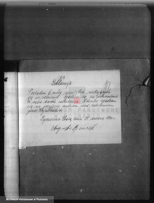 Obraz 14 z jednostki "Zalesienie nieużytków w powiecie poznańskim"