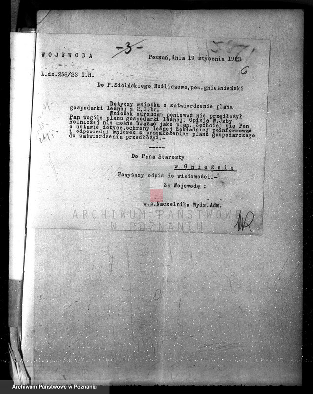Obraz 9 z jednostki "Nadzór nad gospodarką w lasach majętności Modliszewo powiecie gnieźnieńskim"