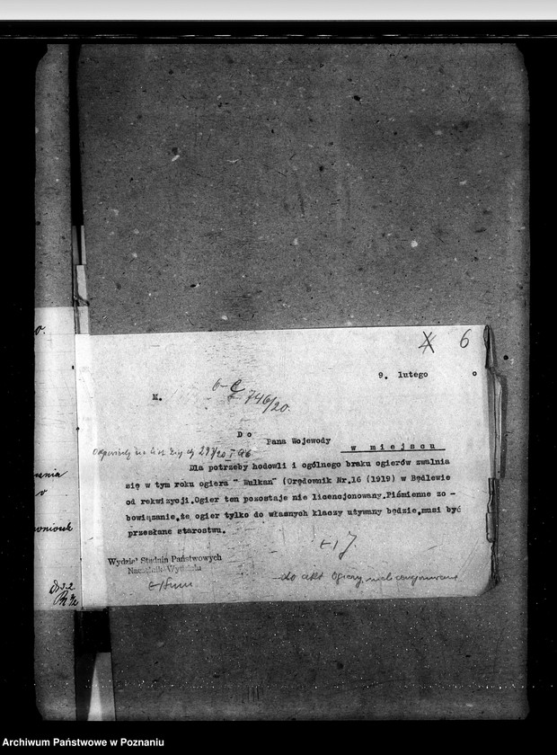 image.from.unit.number "Sprawy stadnin ogiery nielicencjonowane"