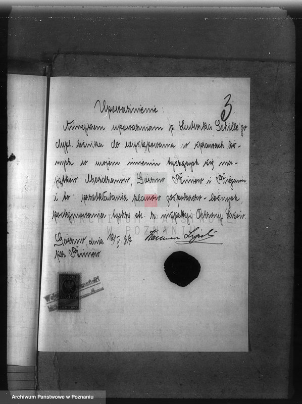 Obraz 7 z jednostki "Majętność leśna Możdzanów powiat ostrowski"