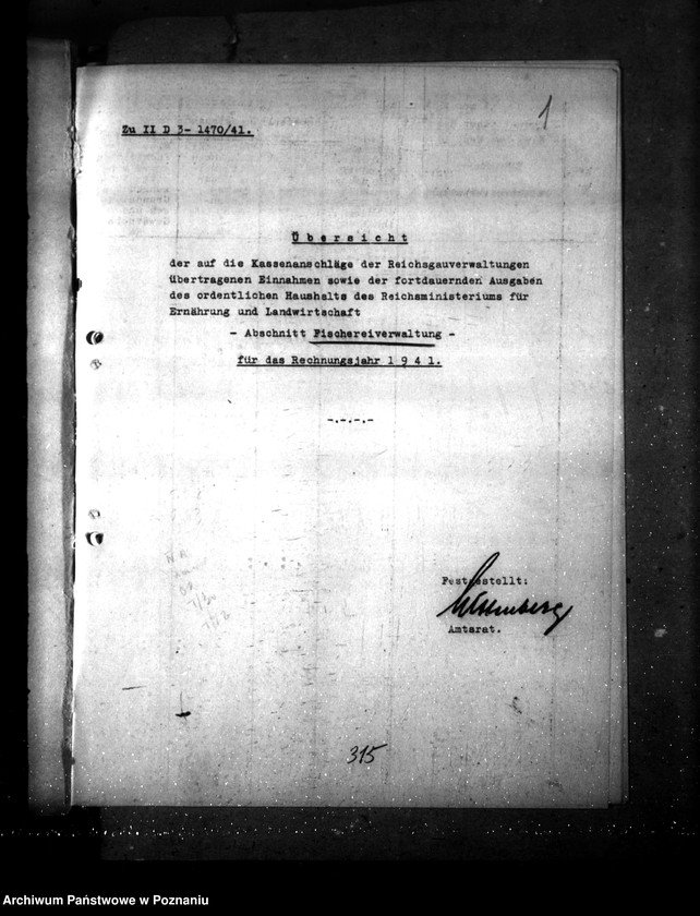 Obraz 5 z jednostki "Plany kasowe"