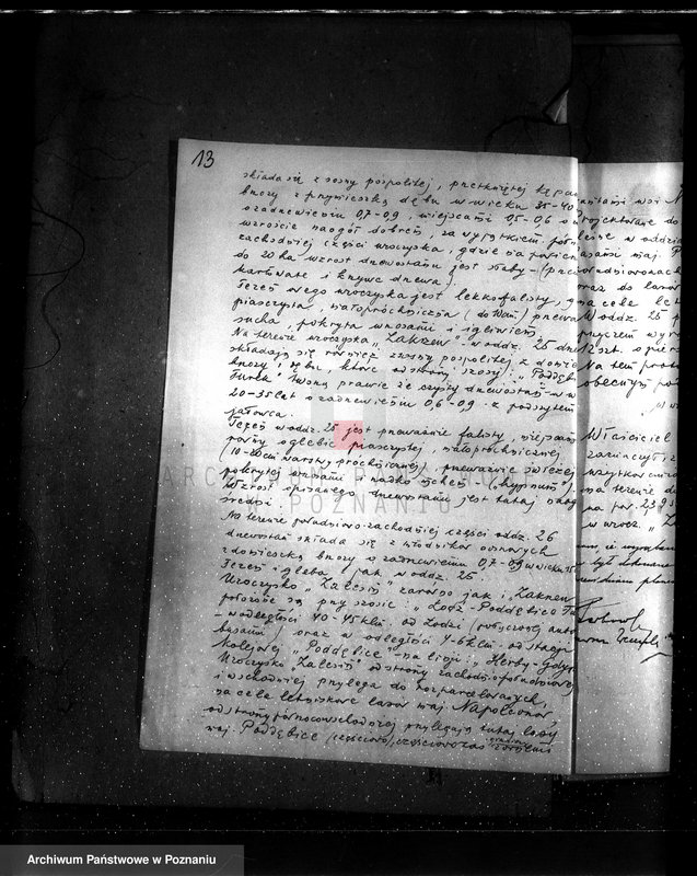 Obraz 17 z jednostki "Częściowa zmiana rodzaju użytkowania 5,83 ha gruntów leśnych w majątku Zalesin powiat turecki"