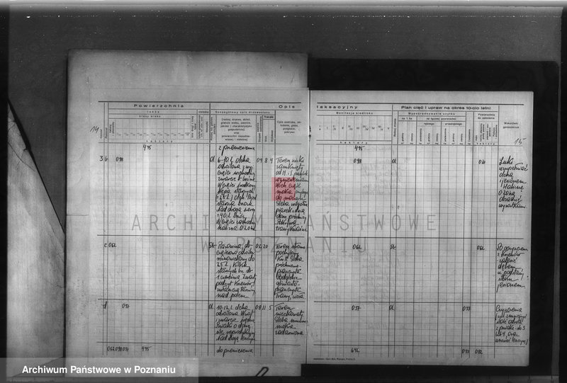 Obraz 18 z jednostki "Program urządzenia gospodarstwa leśnego dla lasu majętności Glinno powiat poznański 1938-1948"