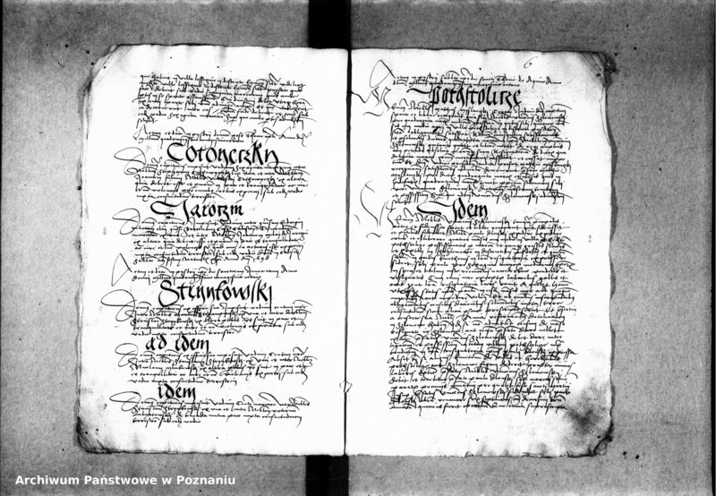 Obraz 12 z jednostki "Inscriptiones, relationes, decreta [inducta]"