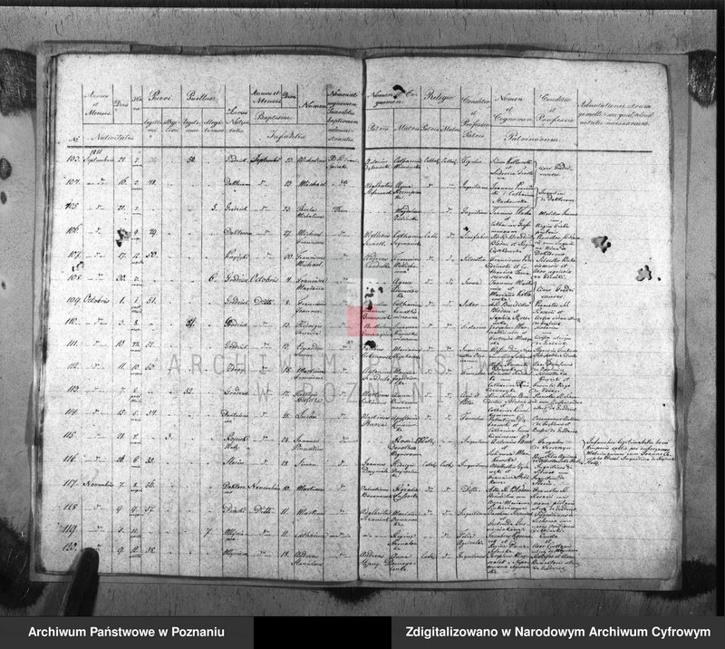 image.from.team "Akta stanu cywilnego Parafii Rzymskokatolickiej Grodzisk"