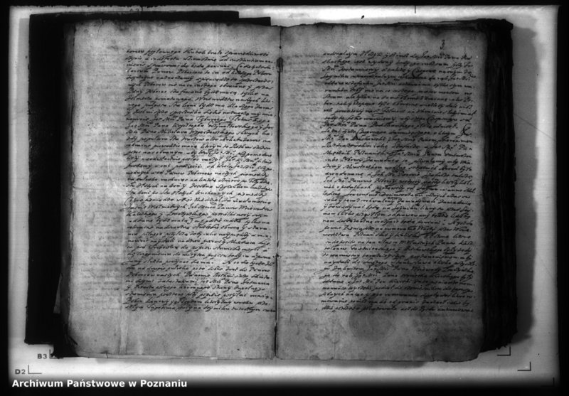 Obraz 5 z jednostki "Lauda [acticantia]"