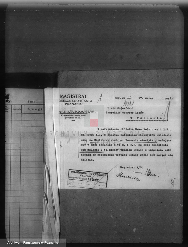 Obraz 5 z jednostki "Zalesienie nieużytków w powiecie poznańskim"