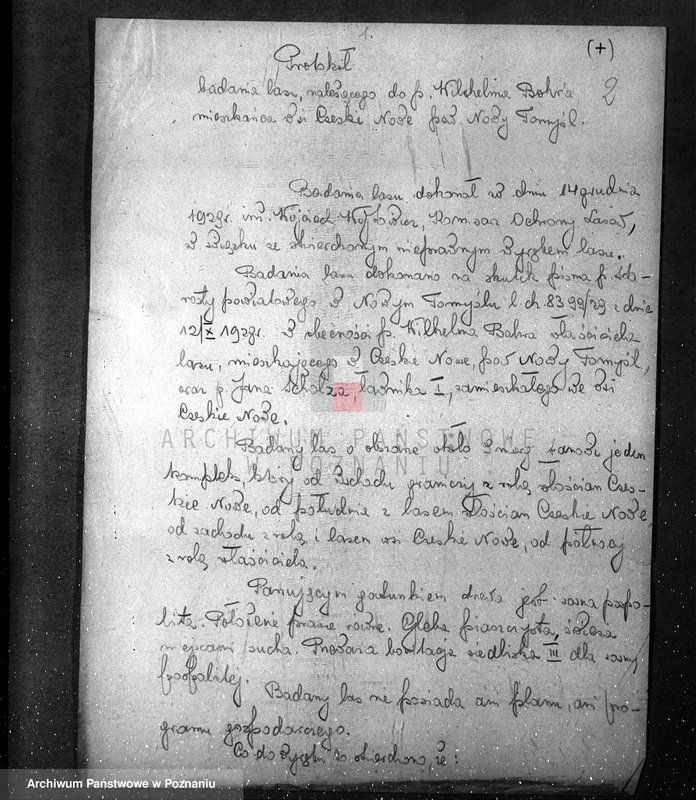 Obraz 6 z jednostki "/Różne sprawy leśne, protokóły badania gospodarki leśnej/"