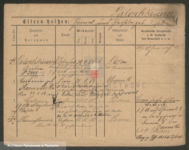 Obraz 4 z jednostki "Paluszkiewicz Pankow"