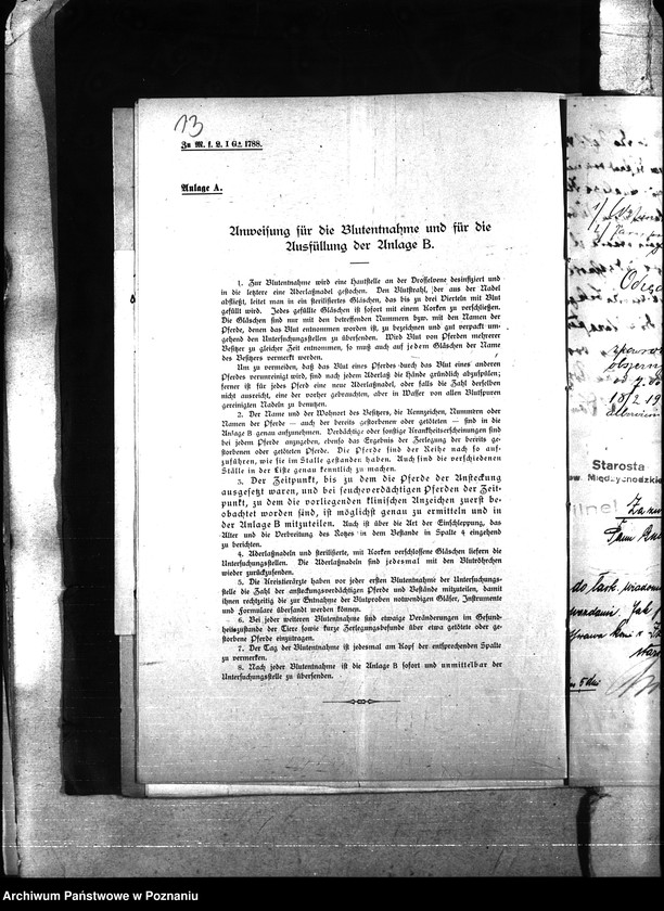 Obraz 17 z jednostki "Nosacizna - Międzychód"