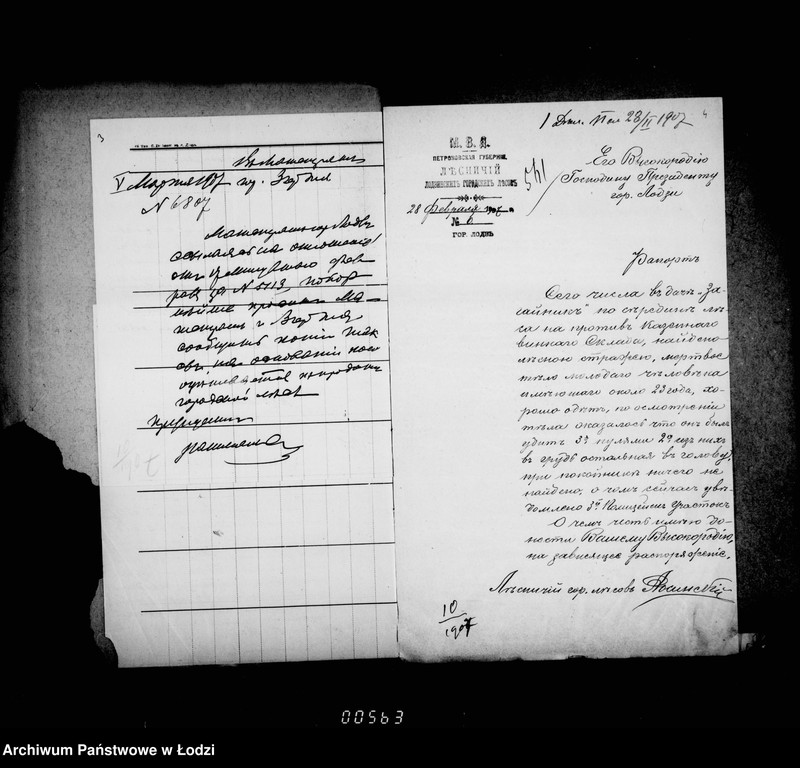 Obraz 8 z jednostki "O gorodskich lesach"