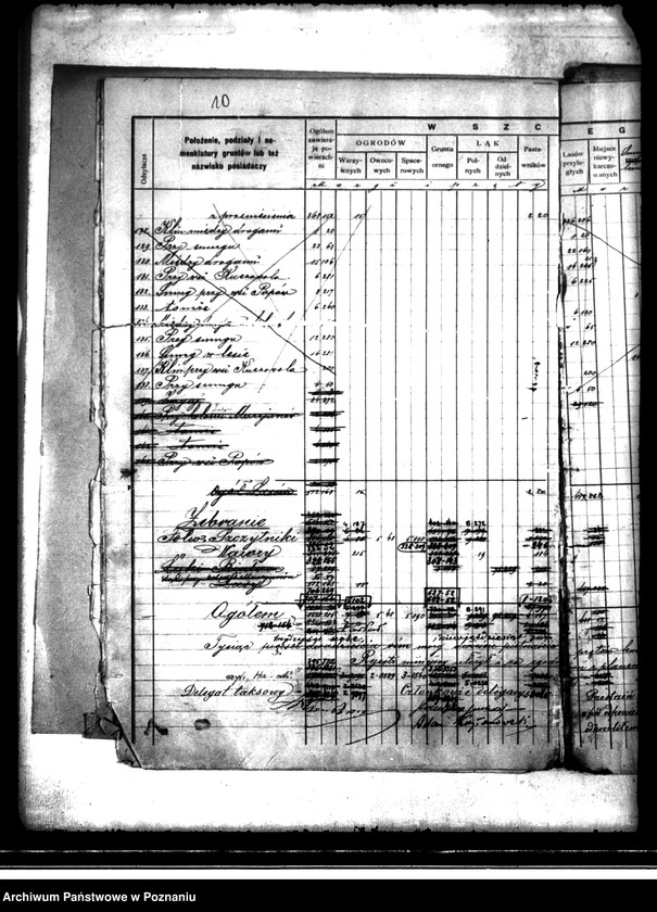Obraz 14 z jednostki "/Rejestr pomiarowy dóbr Szczytniki powiat kaliski"