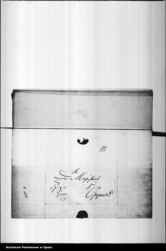 Obraz 11 z jednostki "Acta des Magistrats zu Oppeln von Anstellung der Saltz Inspectors und Saltzbeamten"