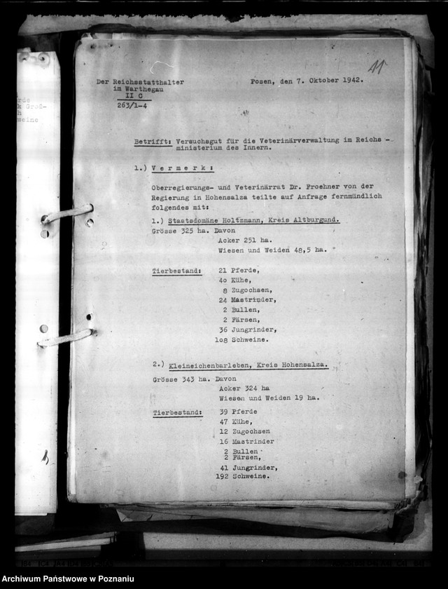 Obraz 15 z jednostki "Lehrgut für die Veteriärverwaltung"