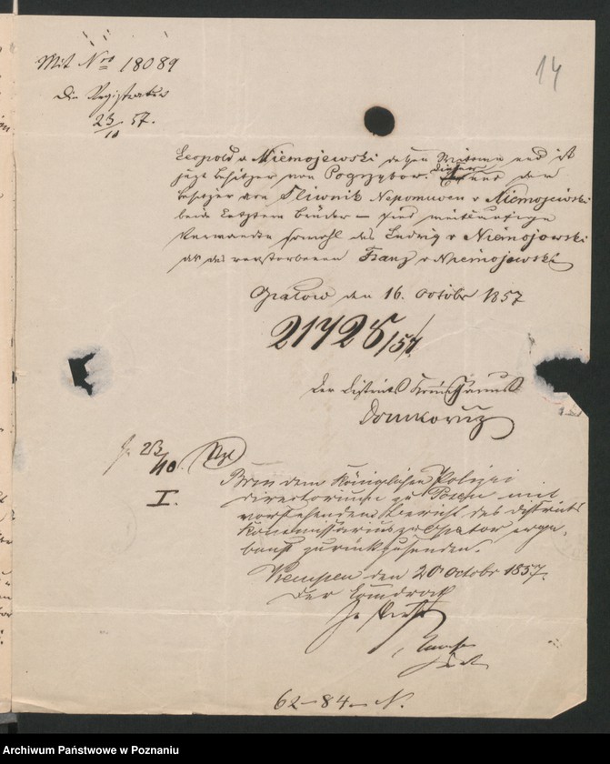 Obraz 17 z jednostki "A. betr. Josef Niemojewski, Gutsbesitzer"