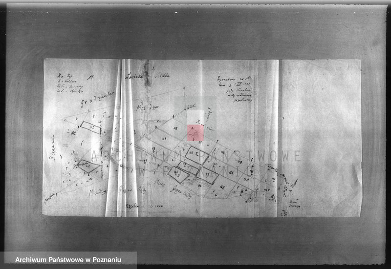 Obraz 16 z jednostki "Majętność /leśna/ Sobótka powiat ostrowski"