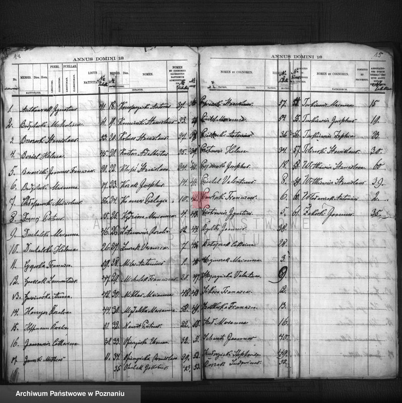 Obraz 11 z jednostki "Liber baptisatorum, copulatorum, mortuoum"