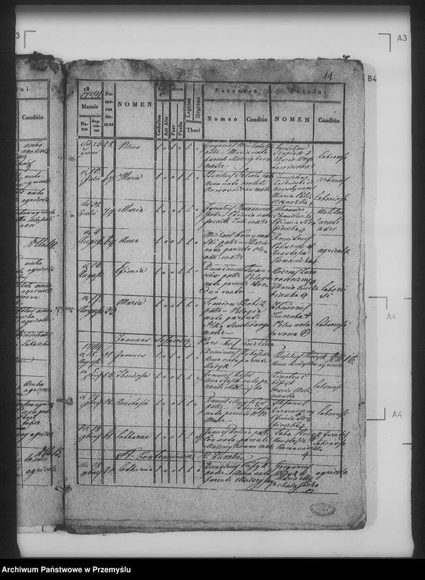 Obraz 16 z jednostki "[Kopie ksiąg metrykalnych parafii Żabcze Murowane z filią Bezejów (dekanat Bełz)]"