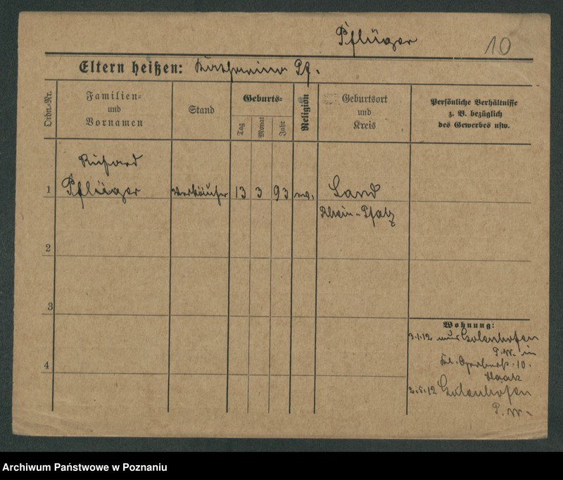 Obraz 12 z jednostki "Pflieger - Piasecki"