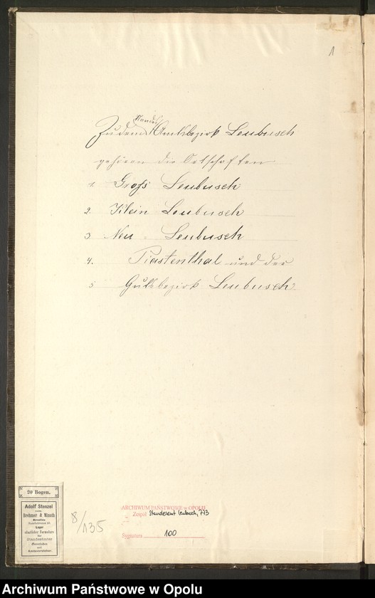 Obraz z jednostki "Sterbe-Neben-Register Standes-Amt Leubusch 1904"