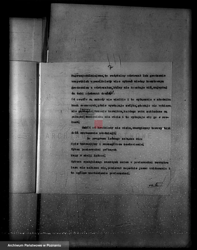 Obraz 11 z jednostki "Program urządzenia gospodarstwa leśnego lasu probostwa Modrzu powiat poznański"