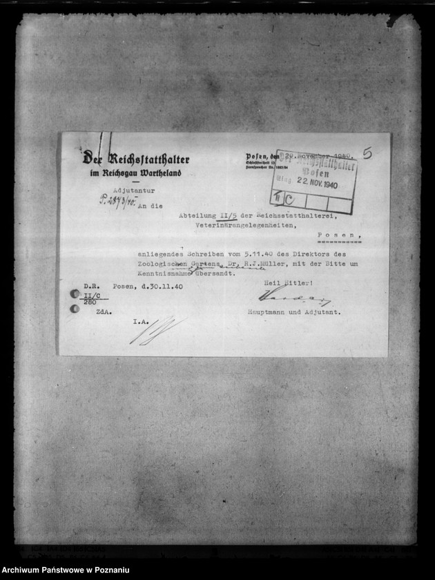 Obraz 9 z jednostki "Tierquälerei an Pferden. Scheuklappen."