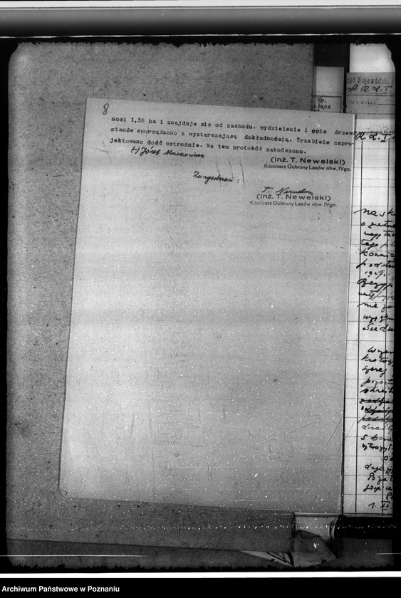 Obraz 12 z jednostki "Nadzór nad gospodarką w lasach majętności Siedmiorogowo w powiecie gostyńskim"