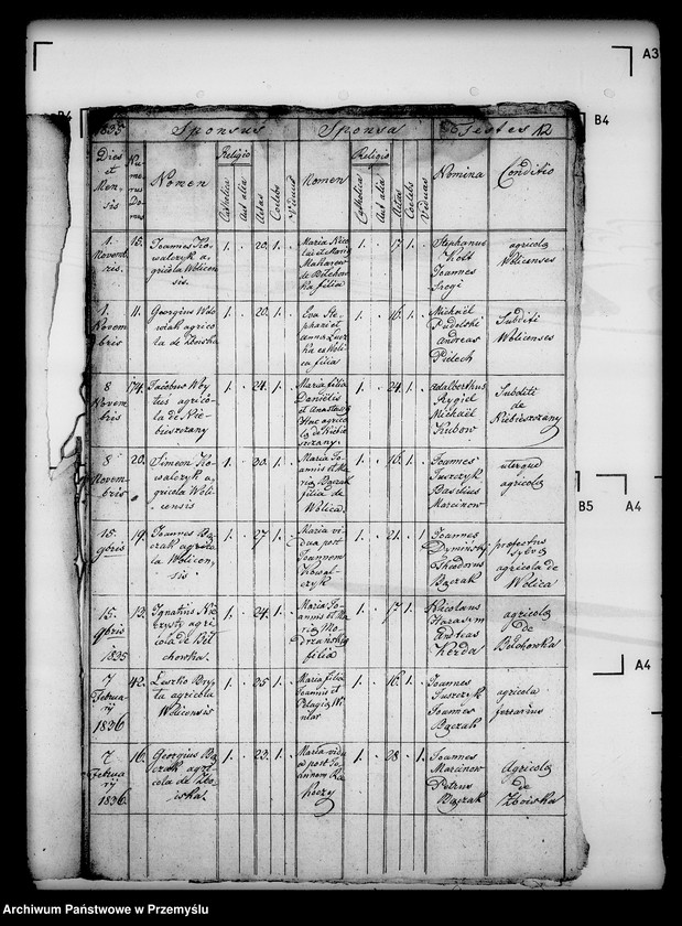 Obraz 16 z jednostki "[Kopie ksiąg metrykalnych parafii Wolica z filiami Bełchówka, Zboiska (dekanat Buków)]"