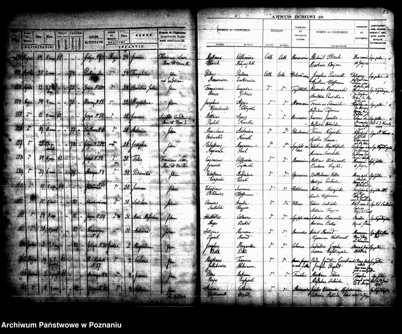 Obraz 17 z jednostki "Księga urodzin"