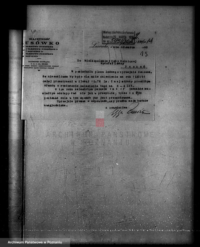 Obraz 19 z jednostki "Zarząd majętności Lusówko powiat poznański/ nadzór nad gospodarką leśną/"