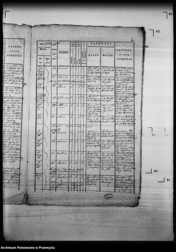 image.from.unit.number "[Kopie ksiąg metrykalnych parafii Wojkowa (dekanat Muszyna)]"