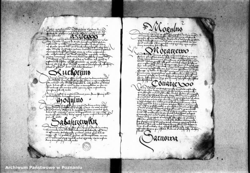 Obraz 8 z jednostki "Inscriptiones, relationes, decreta [inducta]"