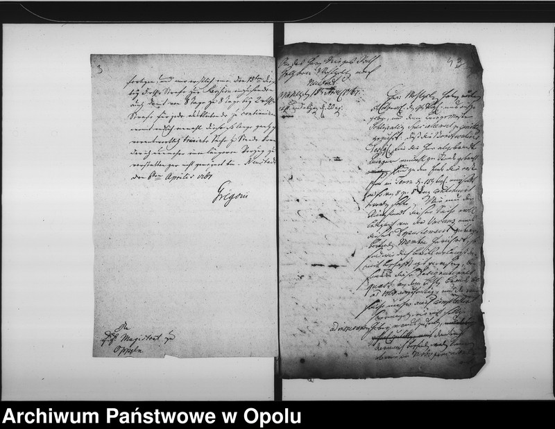 Obraz 7 z jednostki "Acta die Accise Bonificationes für die in anno 1757. 1762 und 1765 zu Oppeln abgebrandte Eygenthümer und Mieths-Einwohner betreffend. Vol. I pro 1767/8 befindlich"