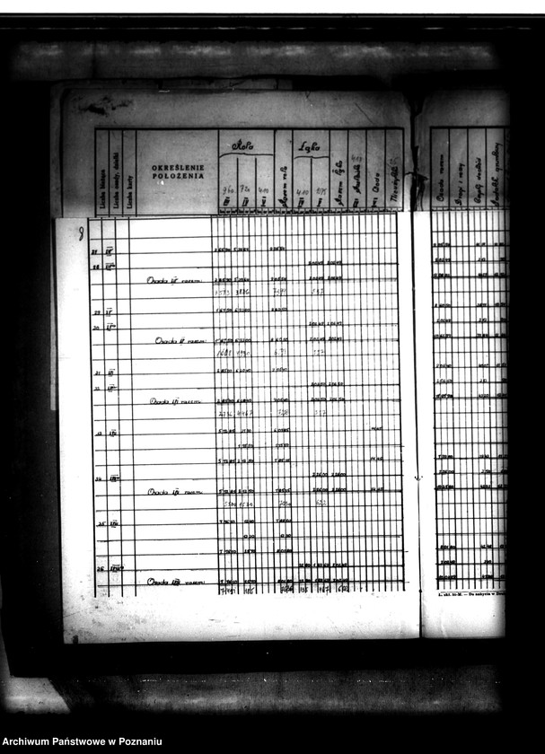 Obraz 12 z jednostki "Tymczasowy rejestr pomiarowo-parcelacyjny majątku Duszniki powiatu szamotulskiego"