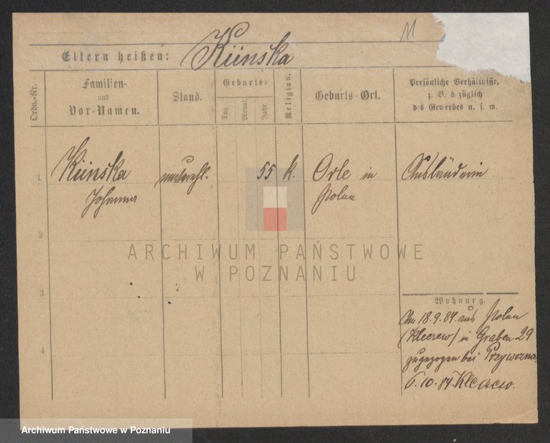 Obraz 11 z jednostki "Kinski - Kirstok"