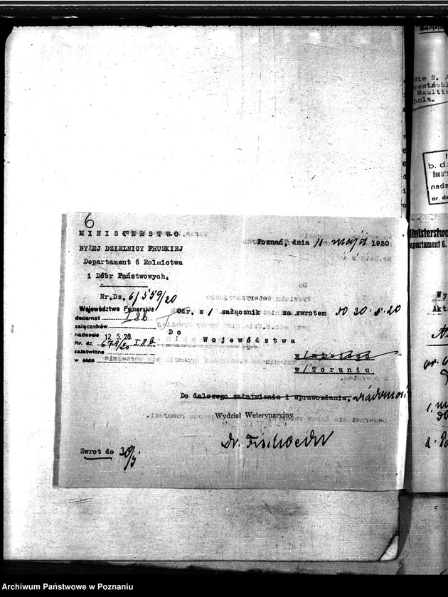 Obraz 10 z jednostki "Nosacizna - Tuchola"