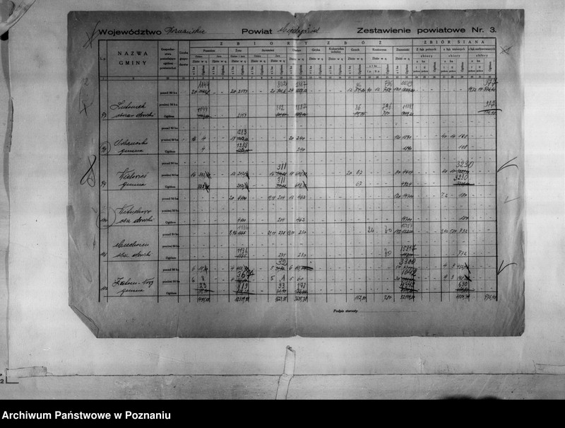 Obraz 14 z jednostki "/Statystyka produkcji rolnej - zestawienie powiatowe - Międzychód/"