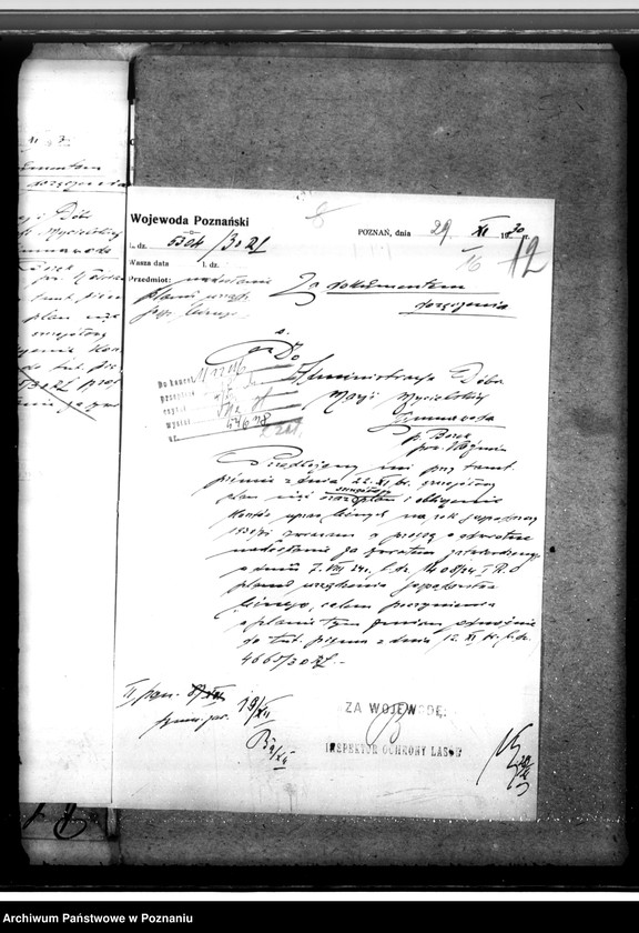 Obraz 20 z jednostki "Majętność leśna Zimnawoda w powiecie gostyńskim"