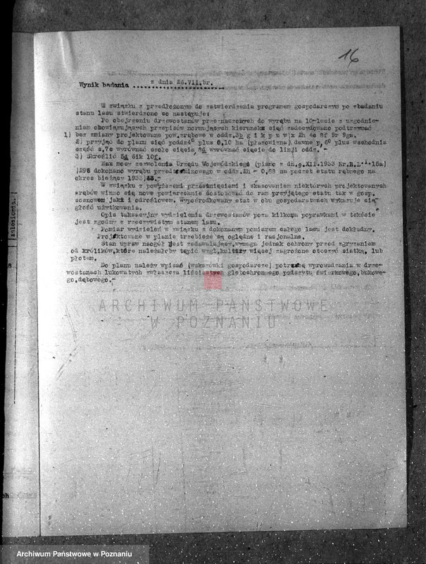 Obraz 20 z jednostki "Majętność leśna Godurowo w powiecie gostyńskim"