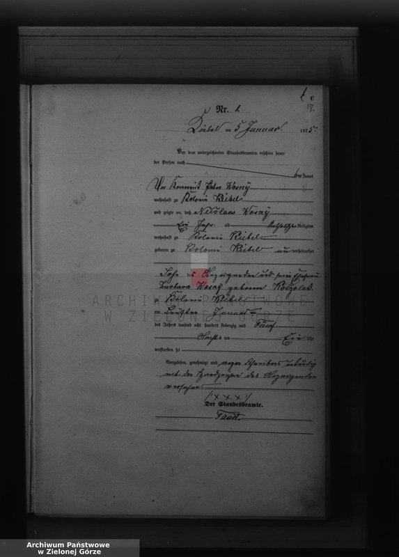 Obraz z jednostki "Sterbe-Register"