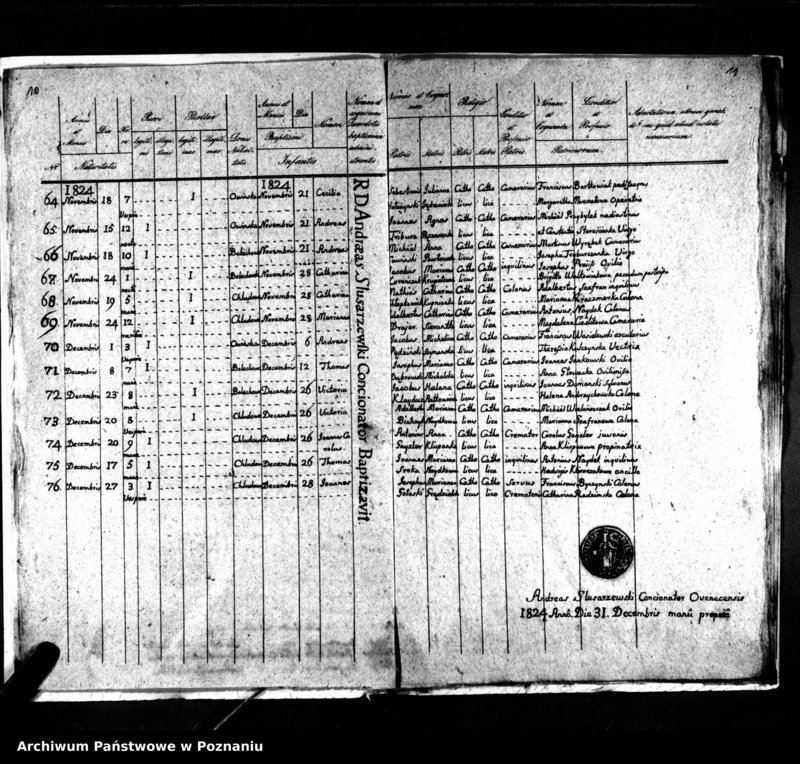 Obraz 8 z jednostki "Duplikat natorum, copulatorum, mortuorum"