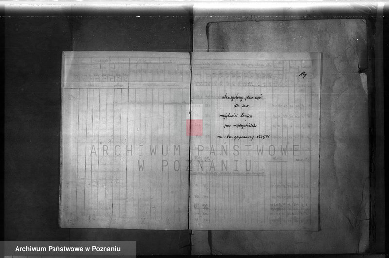 Obraz 15 z jednostki "Majętność leśna Ławica w powiecie międzychodzkim /plan urządzenia gospodarstwa leśnego/"