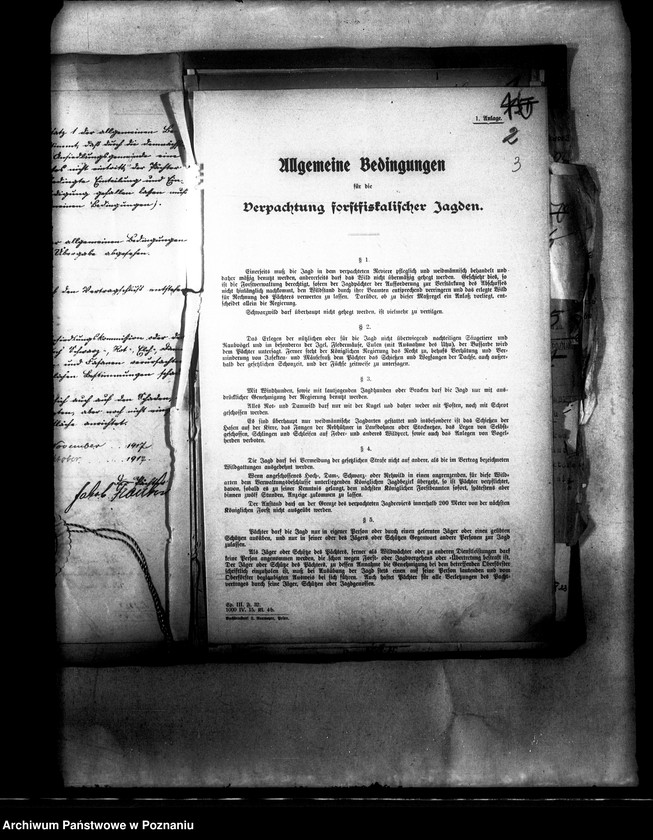 Obraz 7 z jednostki "Polowanie na jeziorze Bytyńskim Komorowo-Gorzewice"