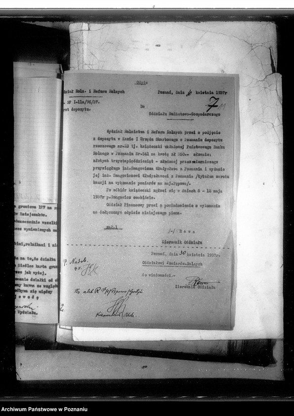 Obraz 15 z jednostki "Postępowanie techniczne przy parcelacji majątku Pępowo powiatu gostyńskiego"