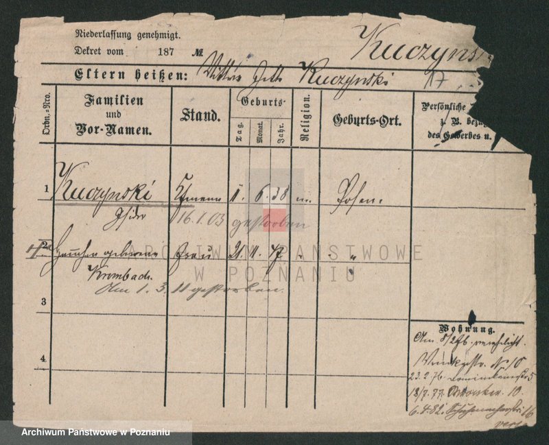 Obraz 17 z jednostki "Kuczyński - Kujata"