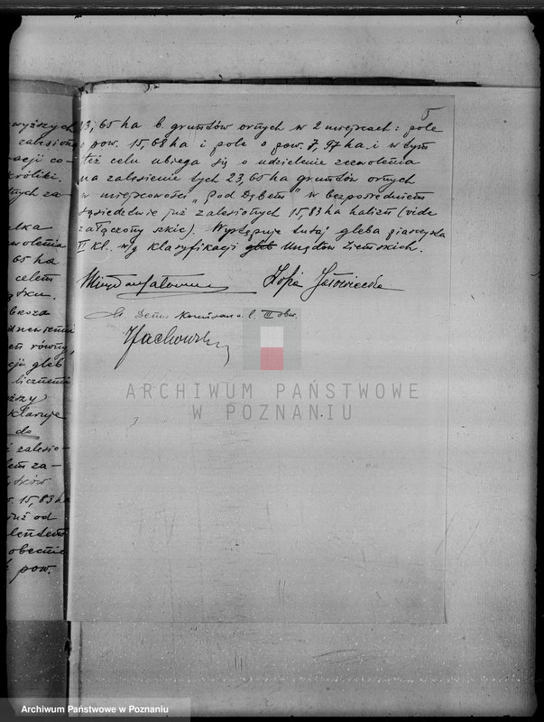 Obraz 9 z jednostki "Majątek Kamień powiat kaliski /sprawy leśne/"