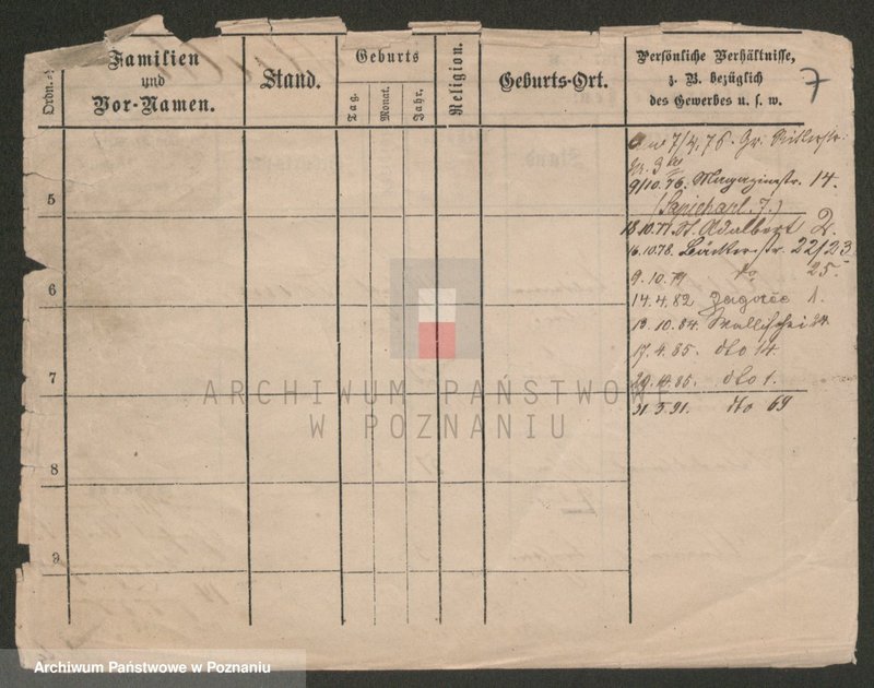 Obraz 7 z jednostki "Muszytowski - Mzykiewicz"